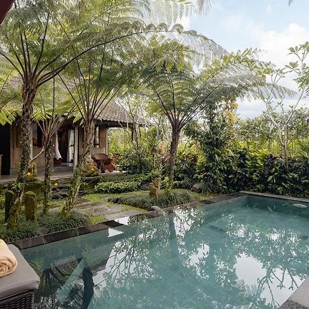 Moringa Ubud Villa Extérieur photo