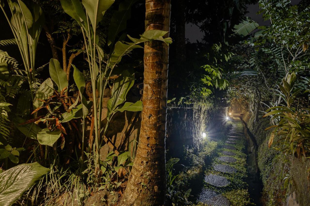 Moringa Ubud Villa Extérieur photo