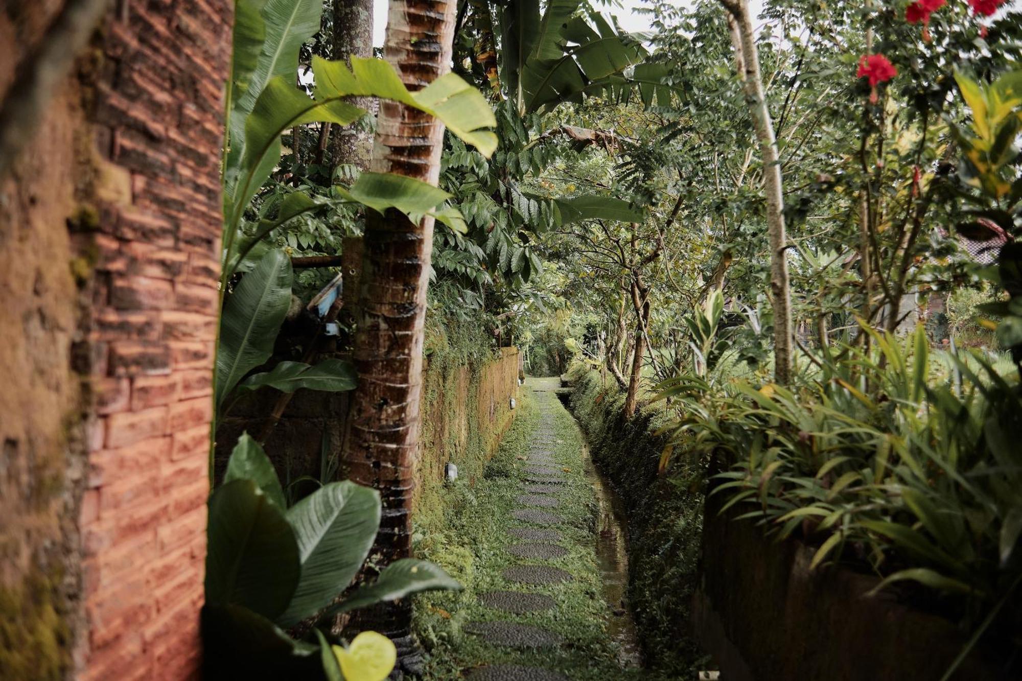 Moringa Ubud Villa Extérieur photo