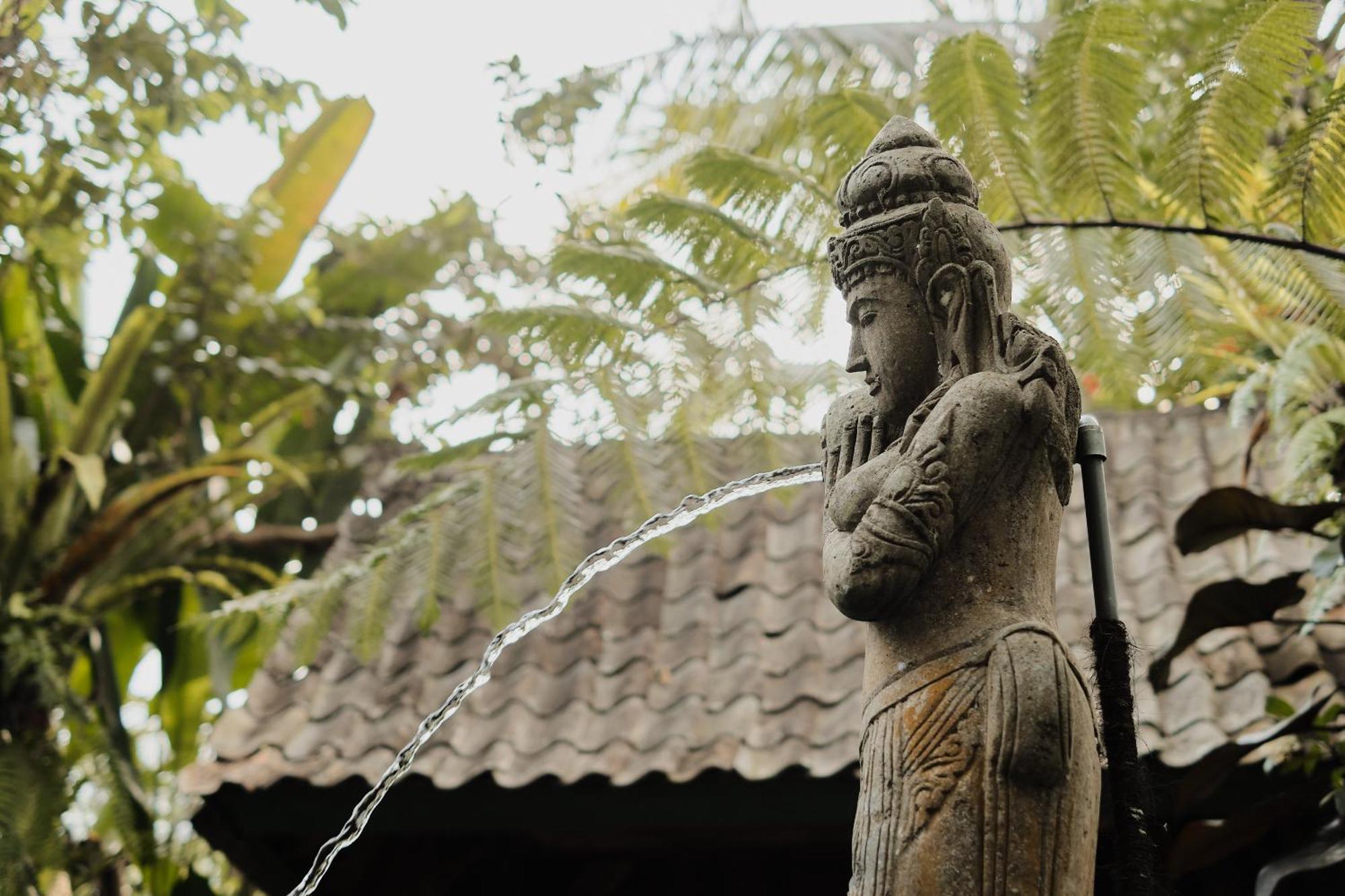 Moringa Ubud Villa Extérieur photo