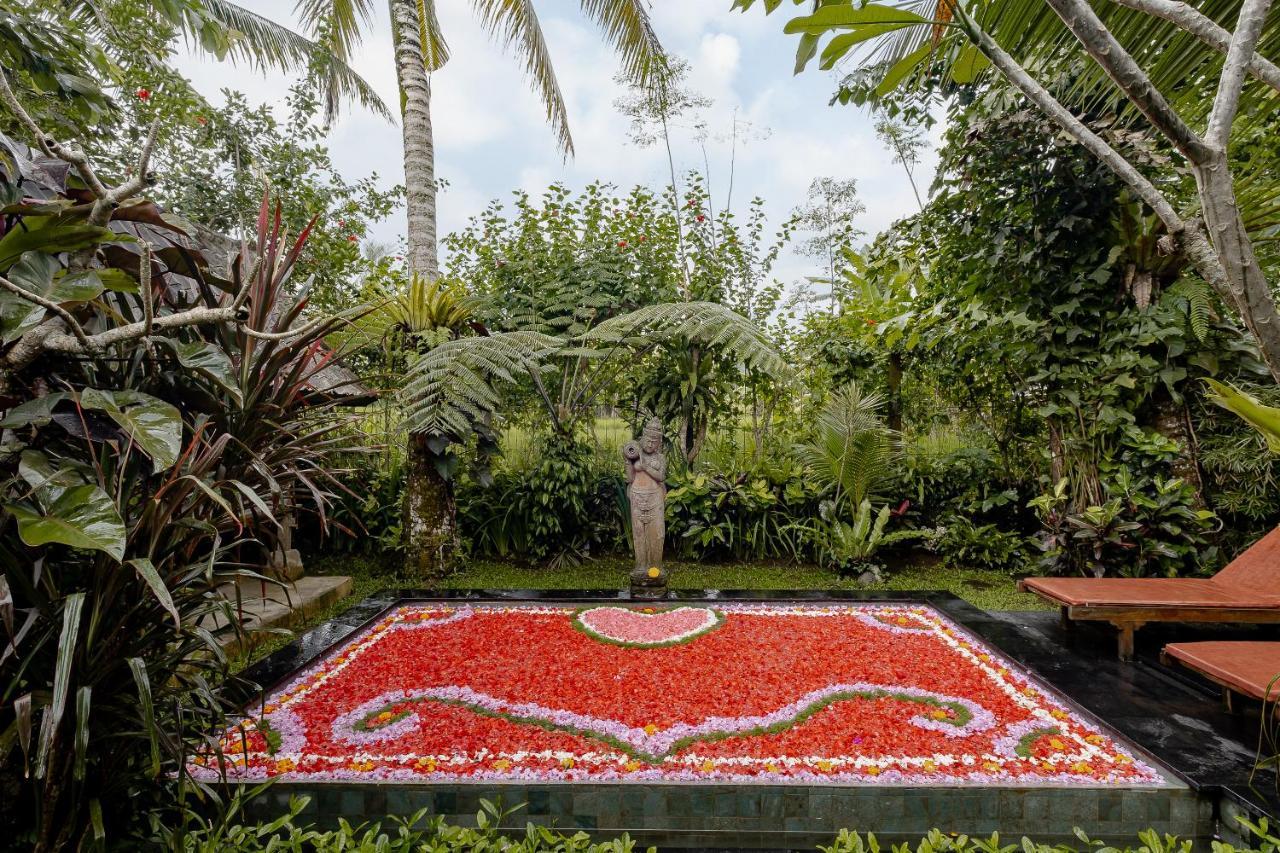 Moringa Ubud Villa Extérieur photo